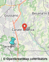 Gelaterie,20831Monza e Brianza