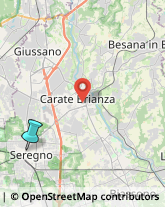 Gelaterie,20831Monza e Brianza