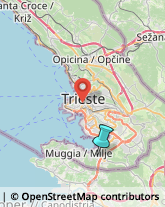 Tipografie,34015Trieste