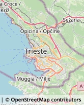 Articoli da Regalo - Dettaglio,34015Trieste