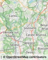 Agenzie di Animazione e Spettacolo,20831Monza e Brianza