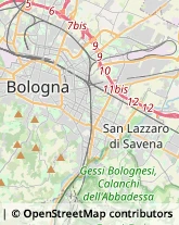 Via San Donato, 160/2,40127Bologna