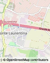 Via Lucio Lombardo Radice, 42,00134Roma