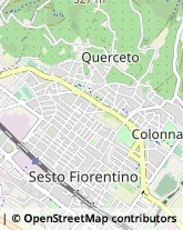 Piazza San Francesco, 38,50019Sesto Fiorentino