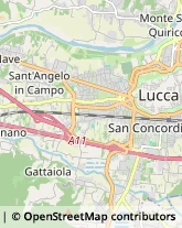 Viale Europa, 797/C,55100Lucca