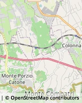 Via Fontanella, 7,00040Monte Porzio Catone