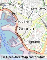 Tour Operator e Agenzia di Viaggi,16124Genova