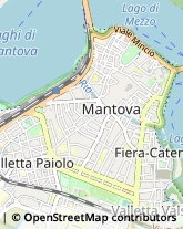 Via Giovanni Chiassi, 20,46100Mantova