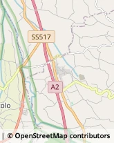 Aziende Agricole,84033Salerno