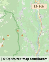 Trasporto Pubblico,38010Trento