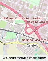 Coltelli, Forbici e Attrezzi Taglienti,40033Bologna