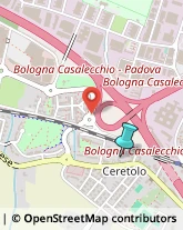 Case di Riposo e Istituti di Ricovero per Anziani,40033Bologna