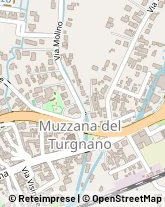 Via Molino, 1,33055Muzzana del Turgnano