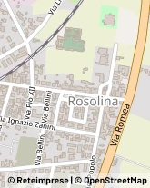 Viale Guglielmo Marconi, 19,45010Rosolina