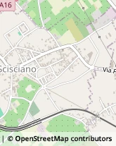 Via Giuseppe Garibaldi, 59,80030Scisciano