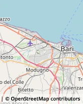 Articoli Sportivi - Dettaglio,70026Bari