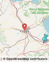 Scuole e Corsi di Lingua,71042Foggia