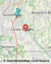 Palestre e Centri Fitness,20833Monza e Brianza