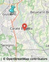 Osterie e Trattorie,20833Monza e Brianza