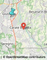 Palestre e Centri Fitness,20833Monza e Brianza