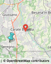 Palestre e Centri Fitness,20831Monza e Brianza