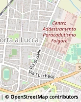 Via Milano, 23,56123Pisa