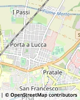 Via Giosuè Carducci, 60,56100Pisa