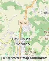 Via Dante, 9,41026Pavullo nel Frignano