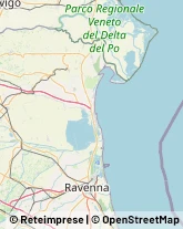 Frutta e Verdura - Dettaglio,44021Ferrara