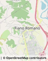 Via Venezia, 55,00065Fiano Romano