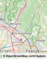 Ortofrutticoltura,50019Firenze