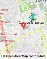 Alimentari,20841Monza e Brianza