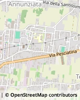 Via Vecchia Pesciatina, 1088,55100Lucca