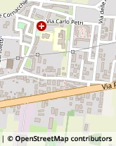 Via S. Giorgio, 19,55100Lucca