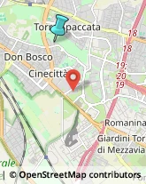 Consulenza Informatica,00173Roma