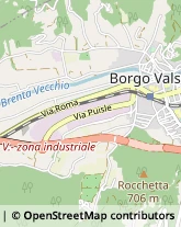 Via Roma, 12,38051Borgo Valsugana