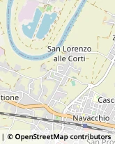 Via Tosco Romagnola, 2124,56023Cascina