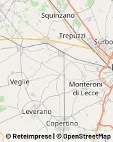 Via Potenza, 14,73019Trepuzzi