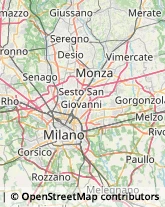 Stuccatori,20812Monza e Brianza