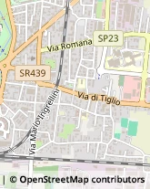 Via Domenico Barsocchini, 61,55100Lucca