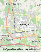 Pubblicità - Consulenza e Servizi,51100Pistoia