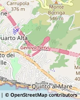 Via delle Primule, 109/13,16148Genova