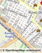 Via Solferino, 10,70037Ruvo di Puglia