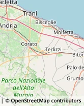 Elettrauto,76011Barletta-Andria-Trani