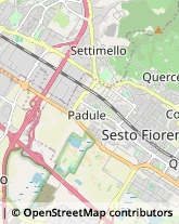 Pediatri - Medici Specialisti,50019Firenze