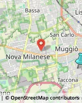 Palestre e Centri Fitness,20835Monza e Brianza