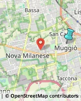 Palestre e Centri Fitness,20835Monza e Brianza