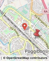 Via Redipuglia, 21,53036Poggibonsi