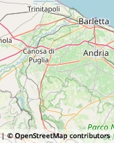 Aziende Agricole,76013Barletta-Andria-Trani