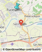 Provincia e Servizi Provinciali,50054Firenze